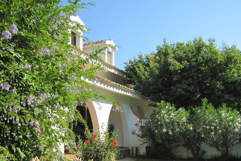 Villa Acquario Torre delle Stelle Eksteriør billede